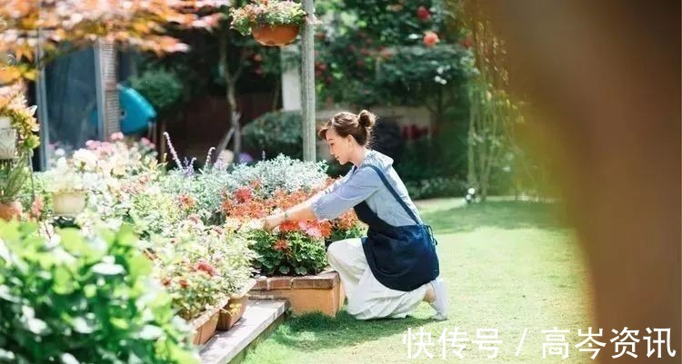 小区|坐拥270㎡大院子,她如何用五年时间,打造成了全小区最美的花园