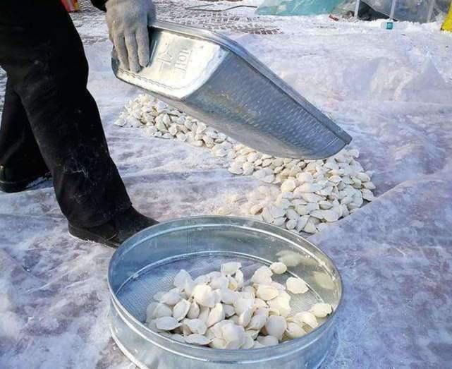 满地|东北就是个“天然大冰柜”,满地都是饺子,南方人表示:简直太豪