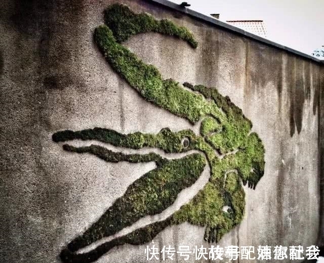 啤酒!他用酸奶、啤酒、苔藓把动物养在墙上,14天后的画面让人惊讶