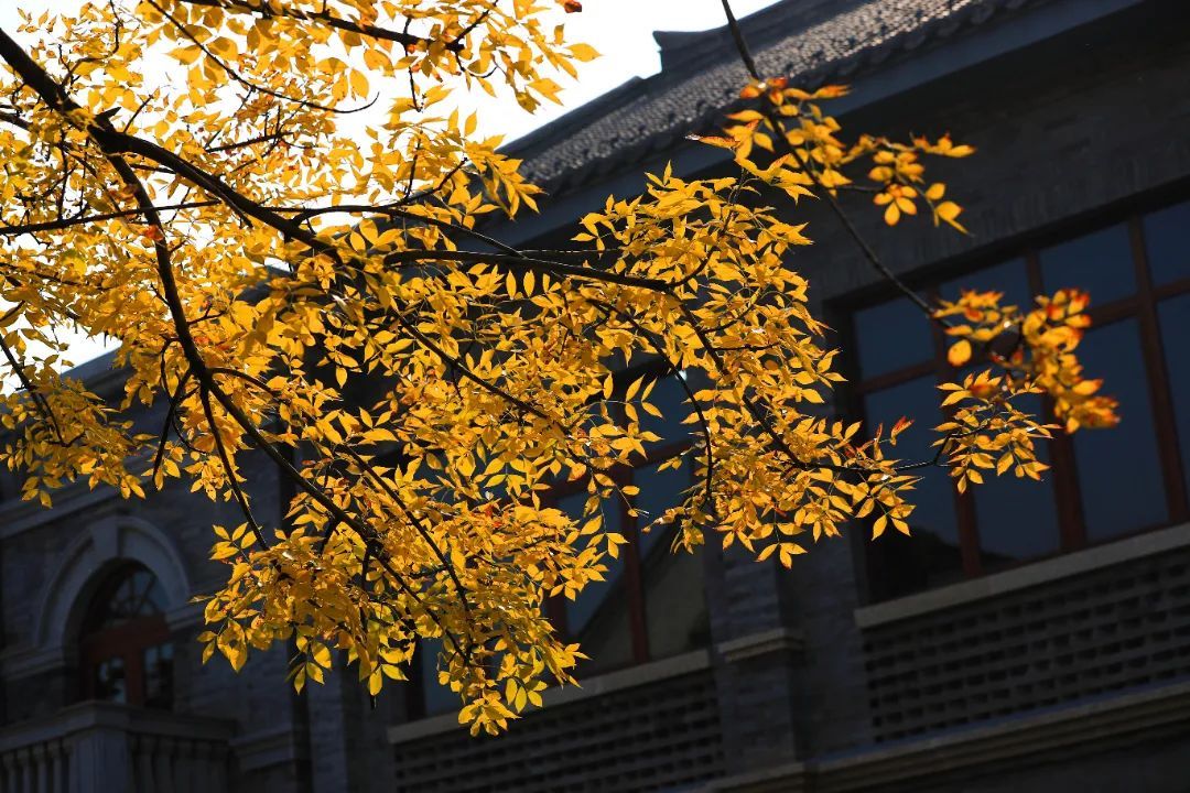 旅行|深藏古韵的旅行目的地！翩翩汉服，惊鸿岁月，每一处都不想辜负！