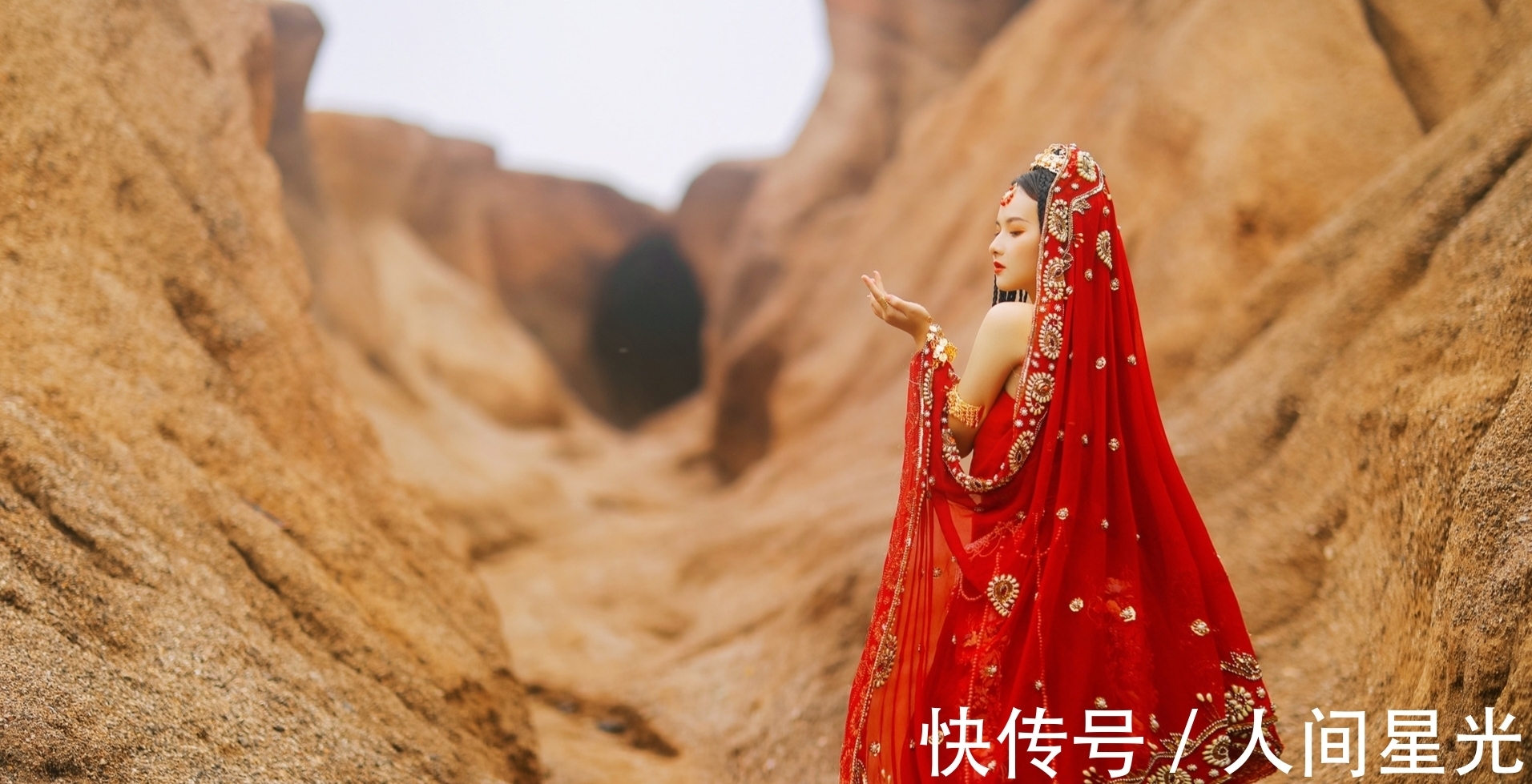 荷叶|诗·十一首丨浅荷叶上珍珠露,深柳塘前小树丫