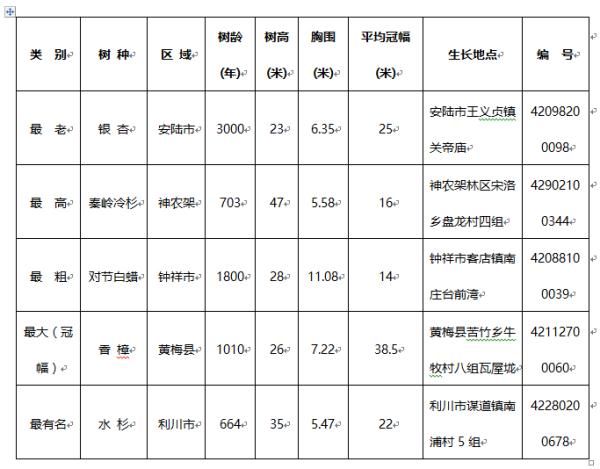 安陆市|不止三星堆，湖北这棵“神树”3000年了！