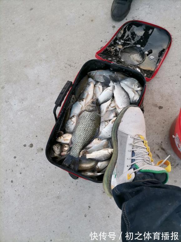 鲫鱼|秋季钓大鲫鱼攻略,找准它们活跃的地方,常规饵料即可