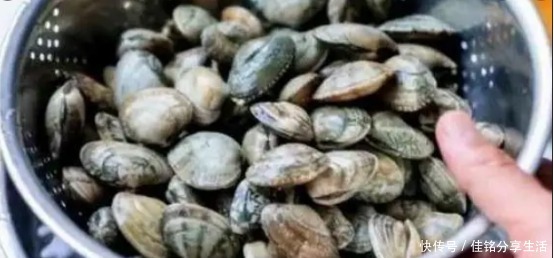 吐沙|洗花蛤万万不可只加盐,渔民教你土方法,花蛤疯狂吐沙,很实用