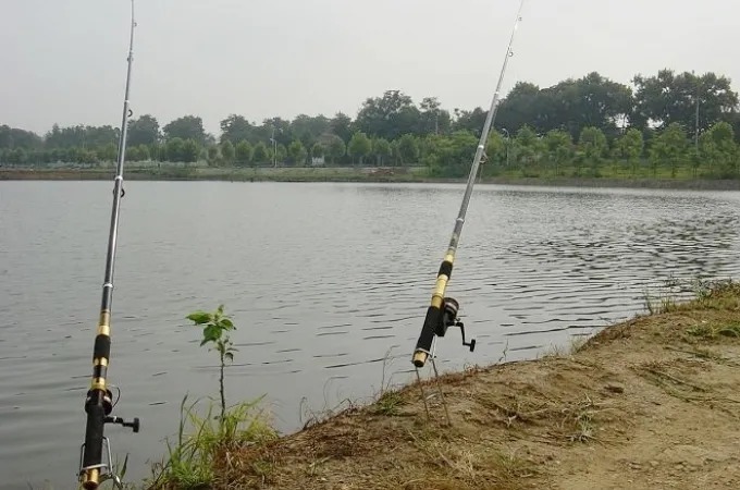 鲫鱼别一味用台钓，老钓手才不会说，这玩法十用九准，学会够你忙
