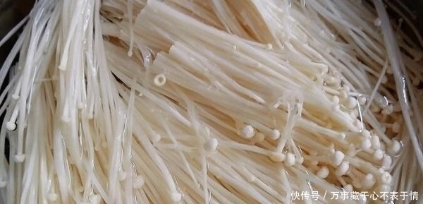 它是不打农药的菜,堪称“脑黄金”,肉都比不上,常吃健脑益智