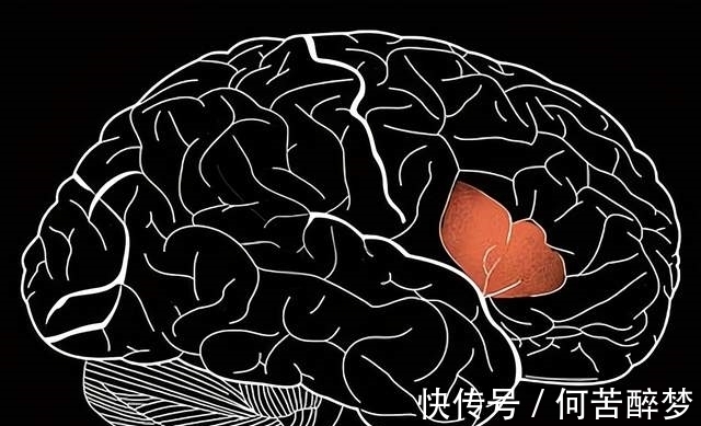 我們?cè)谒伎紩r(shí),腦海里出現(xiàn)的聲音是誰(shuí)的?