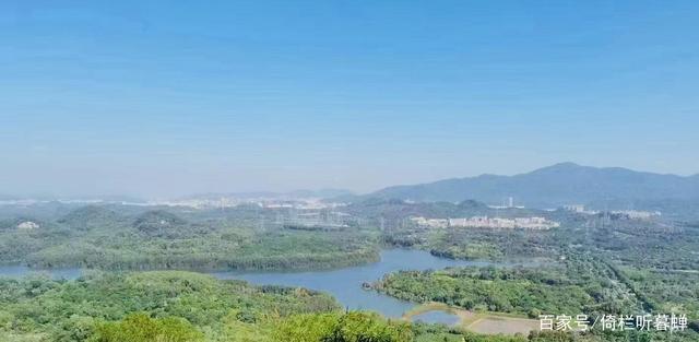 《七绝.初冬印象》霜染苍茫已入冬,枝条飞叶落无穷