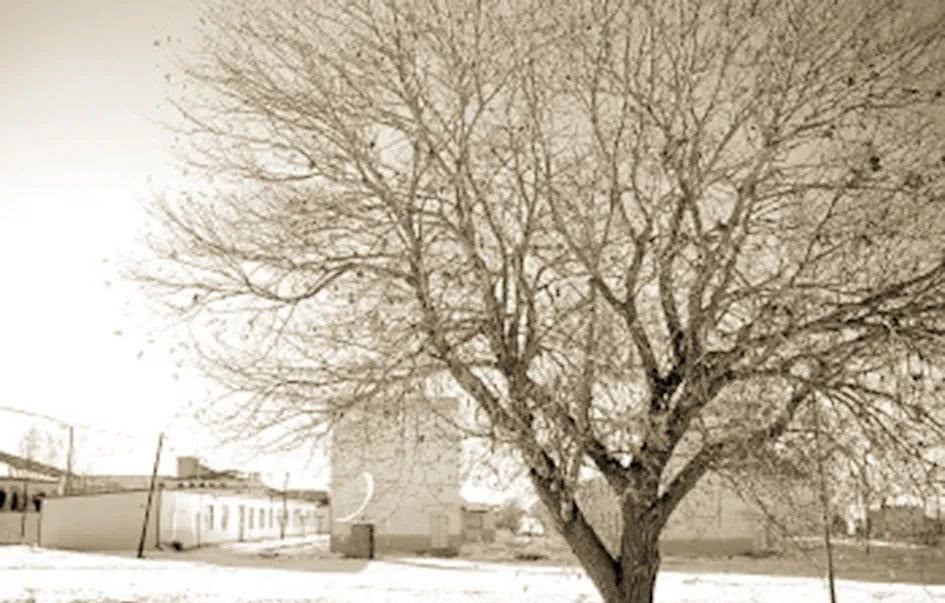 体验|流放新疆是怎样一种体验?