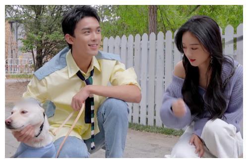 长歌行|吴磊把狗狗当孩子,霸总式的抱狗,让赵丽颖都不敢乱动了