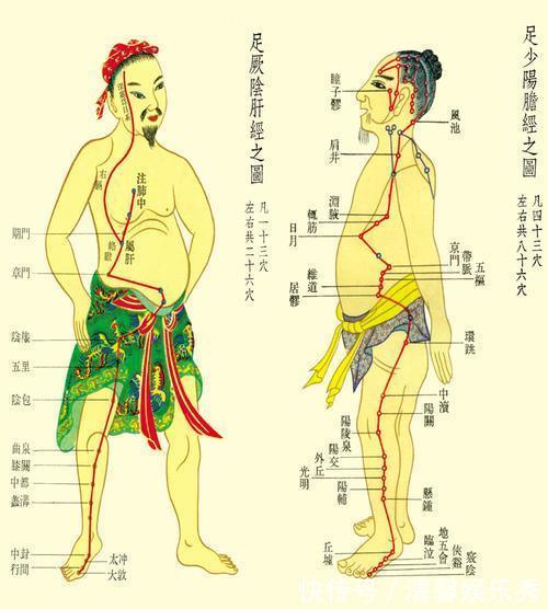 开云体育- 开云体育官方网站- 开云体育APP下载《中医内科学》复习资料pdf