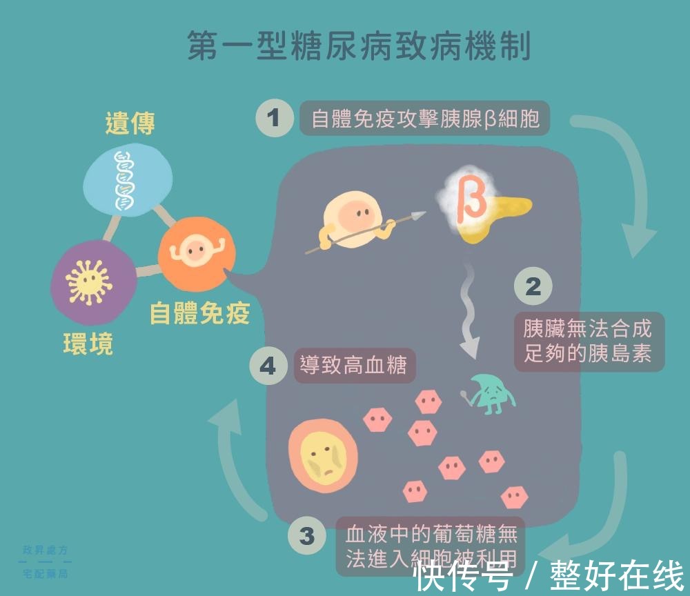 2型糖尿病|二型糖尿病什么时候可以攻克?医生说出以下几个观点