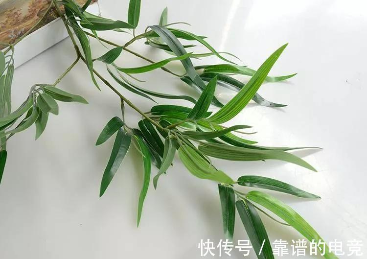 你还在花钱买土吗,不用花钱就能制作出高质量花土,要不要学习