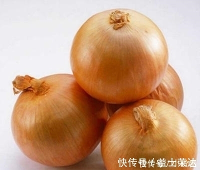 差距|洋葱到底买紫皮的还是白皮的?原来差距在这里,别再买错了