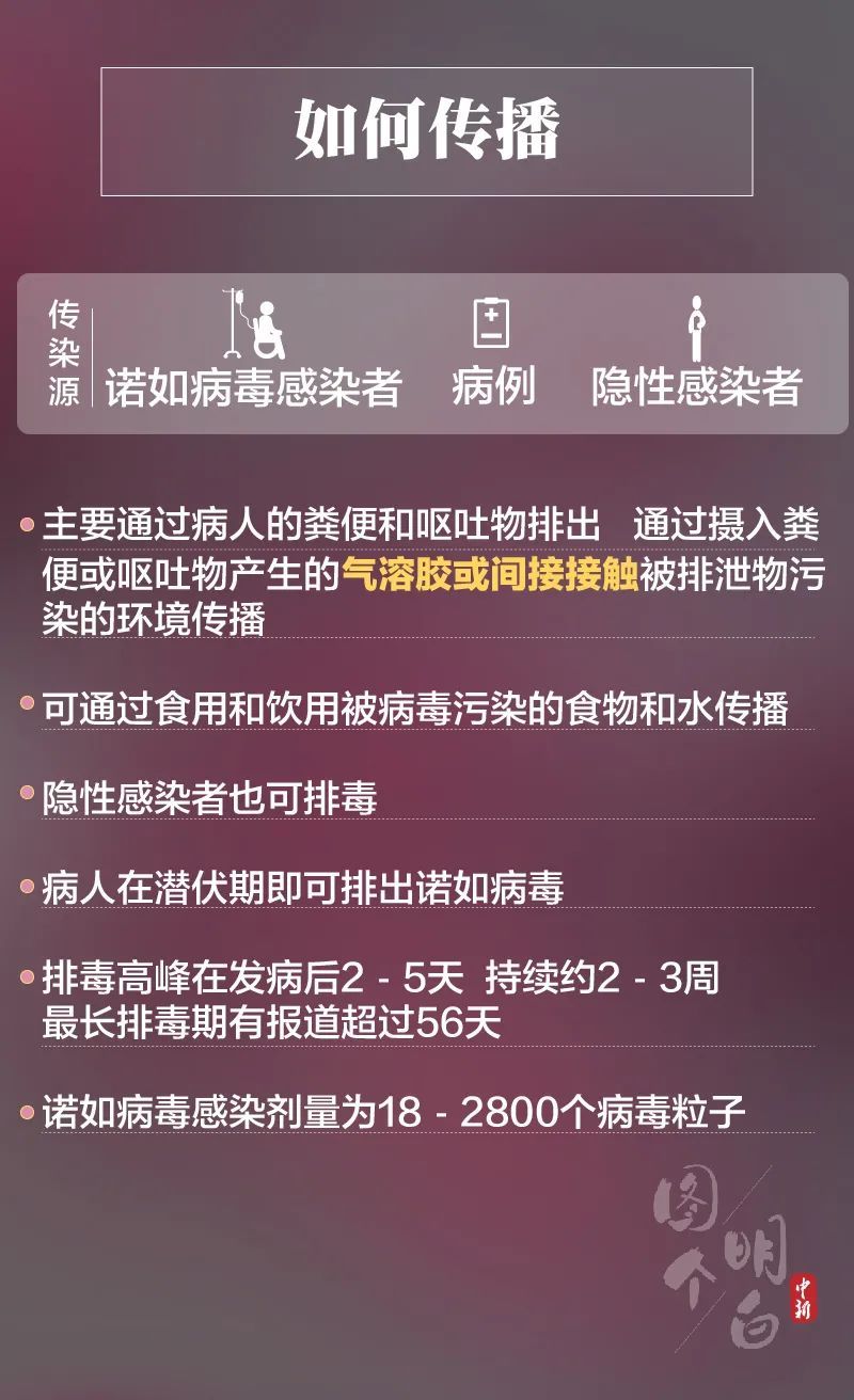 现呕吐|一幼儿园50余名学生感染诺如病毒！秋冬高发，家长们注意！