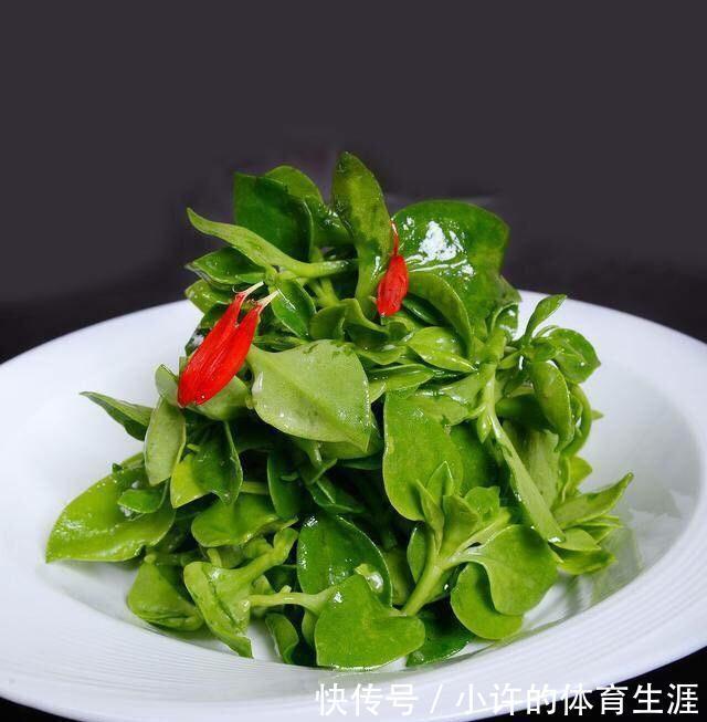 6种青菜根,吃完不要扔,插进花盆,浇浇水,20天长成“小菜园”