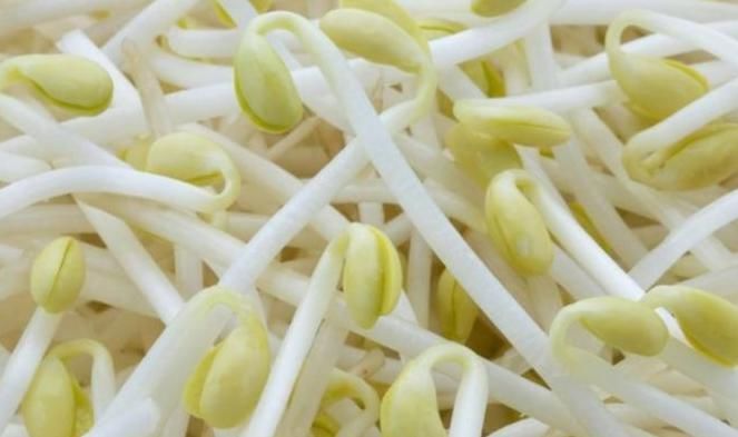 湿气|豆芽与此物一起煮，女性常吃，湿气没了，睡眠也好了！