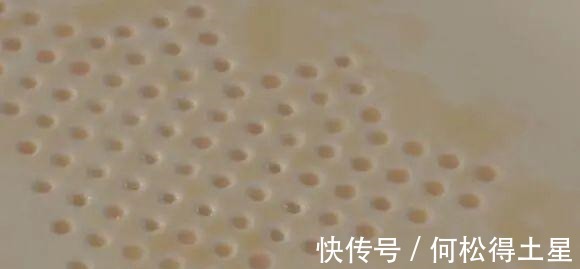 菜碟|减肥必备菜碟吸油盘，吸走多余油脂减少摄入量！