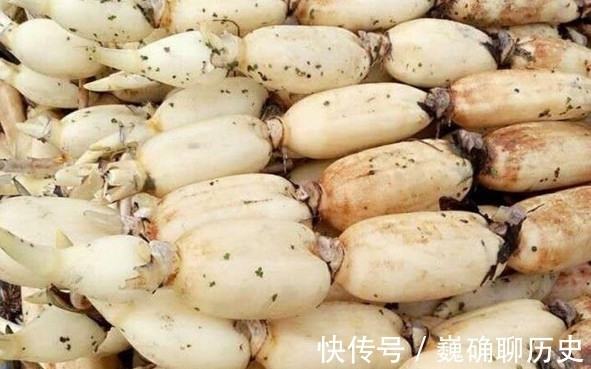 焯水|炒莲藕先焯水,那你就错了,只需这一步,香脆好吃,不发黑