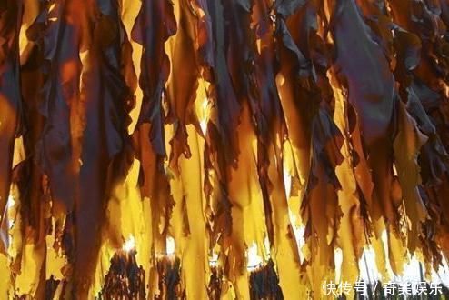 食物|女性不想老太快,不妨多吃3种食物,营养丰富、滋补身体