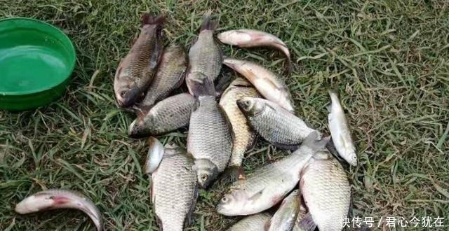 钓灵|给你提个醒,秋钓只需牢记这三个调整,不吹不捧,一周至少钓五次!