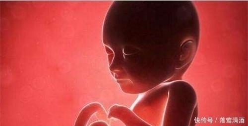 肚子|胎儿每天在妈妈肚子里干些啥看完这5张图,心都暖化了