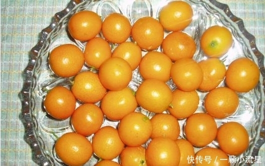 冬天|几种适合冬天吃的水果,常吃清热降火,润肺化痰,你们知道吗