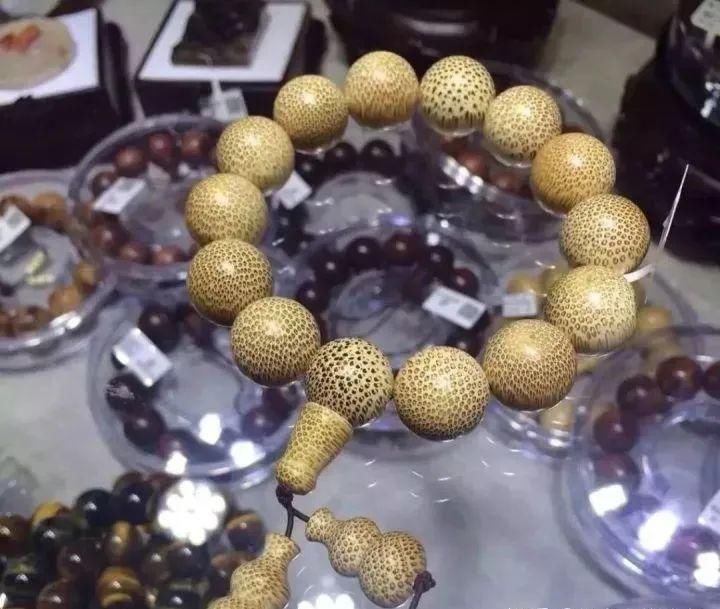  挺好玩|这几种竹子挺好玩的