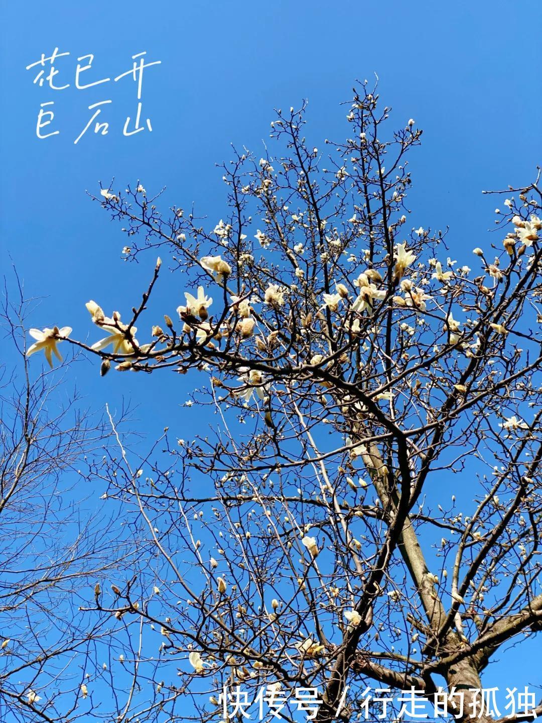 38女神节,带上你的“李焕英”,共赏明媚春光