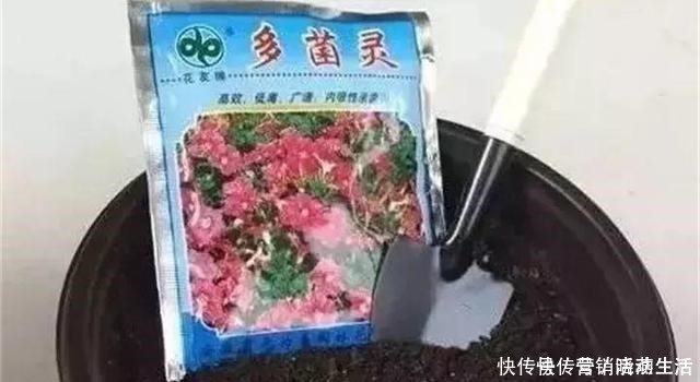 旧土|家里花卉换盆,剩下“旧土”怎么办老花匠“这么”处理更肥沃!