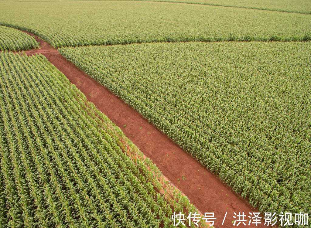 巴尔扎克@人要有生存的方向,巴尔扎克让我看到心的意义,保持本色人生!