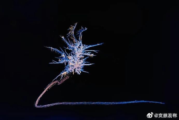  你家|霜窗花，冬天给你家窗子的吻！这些图美得像梦~