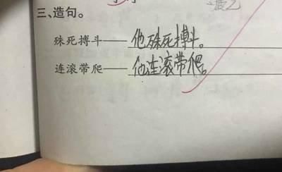 小学生偷懒写的作业，家长笑不停，老师：看后颠覆三观