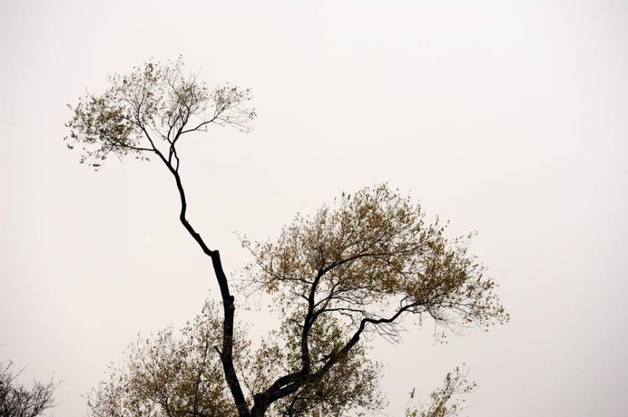 美的景|美丽的遇见我拍冬日大明湖