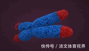 实验|生个孩子能老几岁?美国科学家用实验告诉你,那些不显老的太羡慕