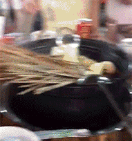 |搞笑GIF: 真相往往在后面 亲眼看到得不一定是真的