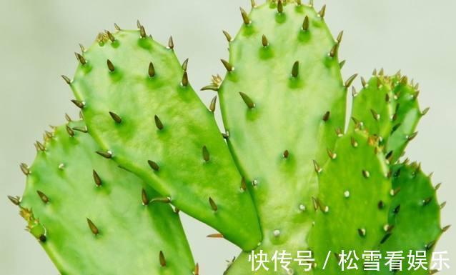 阳台放上几种东西,让你家财运亨通,一生富贵旺到爆!