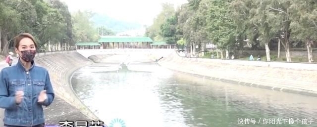 香港河道乌头鱼泛滥，钓鱼人：不需要技巧，随便钓几十斤