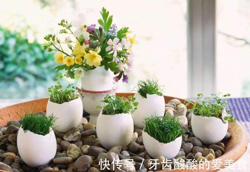 自来水|这种厨房垃圾不能扔,加工后养花,比花钱买的肥还温和好使