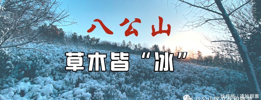 冬日秘境中的八公山，每一幅都美成了屏保！