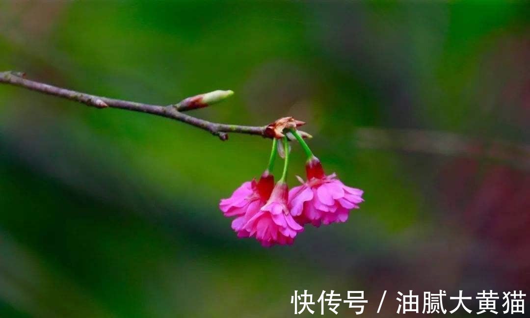 商人|佛说:财不可积,愈多愈散,绝对不能积,久积成病、久积成恶