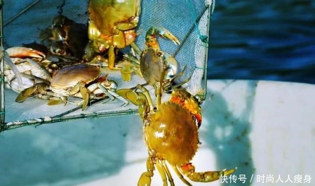 在三门“舞爪横行”的青蟹,到了最好吃的时候啦