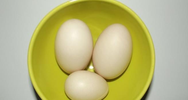 排出|女性养生吃这4种食物,排出毒素,还可以滋养子宫