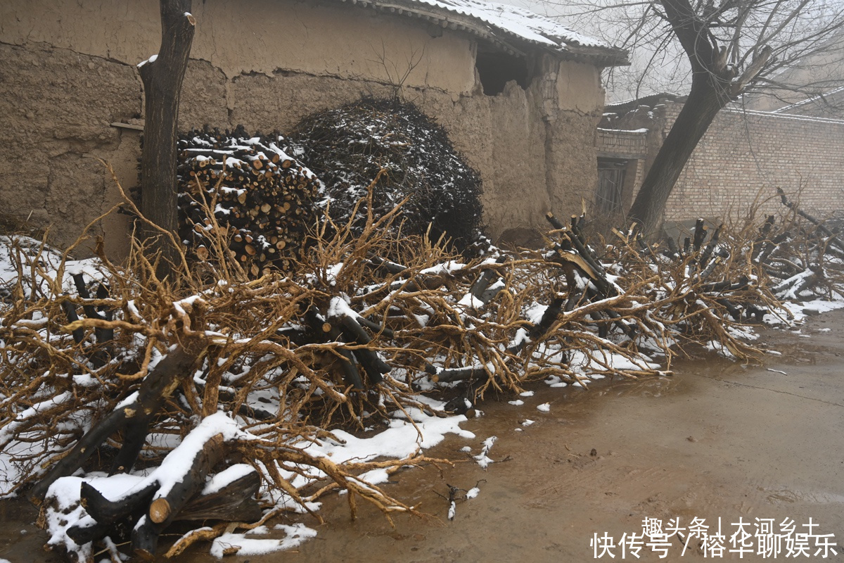 120人的山村现仅剩5户，下雪后女人们聚在一起闲谝咱山里真好