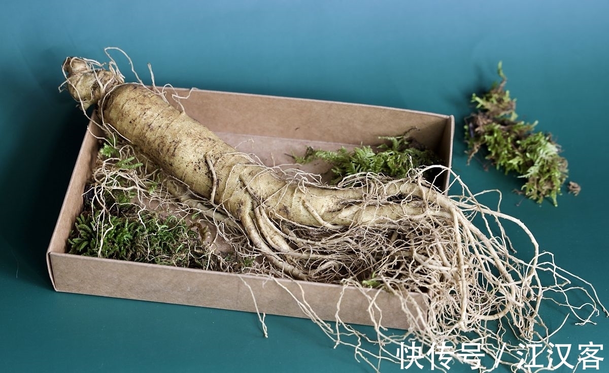 红楼梦@人参养荣丸是过期药,此药藏了王夫人和宝钗,对贾母和黛玉的恶意