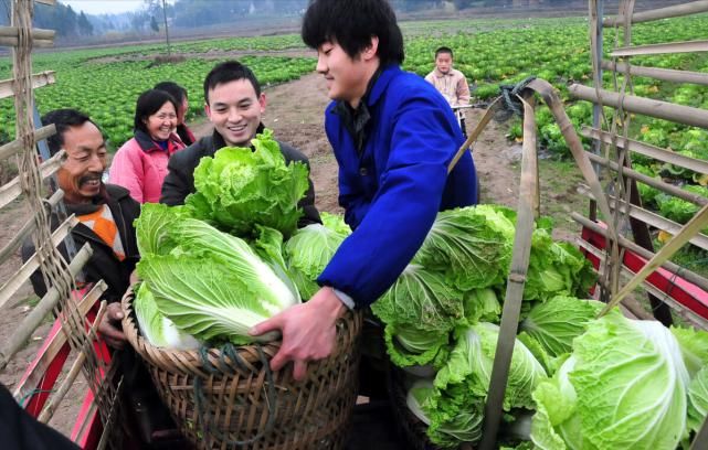 “想招个男研究生太难了”导师无意中的抱怨，揭露了男考生的困境