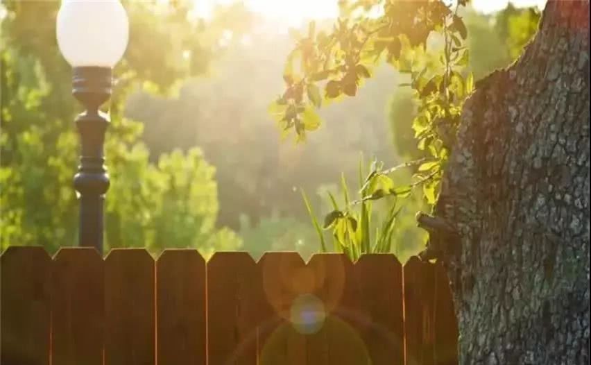 家训|曾国藩:话不说死,事不做绝,情不断尽!曾国藩家训