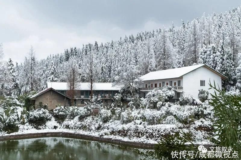 林海雪原|想看“林海雪原”，不用去东北，叙永就有