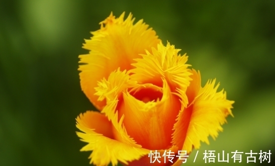 对方|2周后,繁华落幕,爱已成殇,心灰意冷,果断转身,余生两不相欠