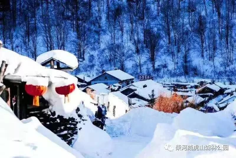 雪村|威虎山雪村12月12日正式开园啦！